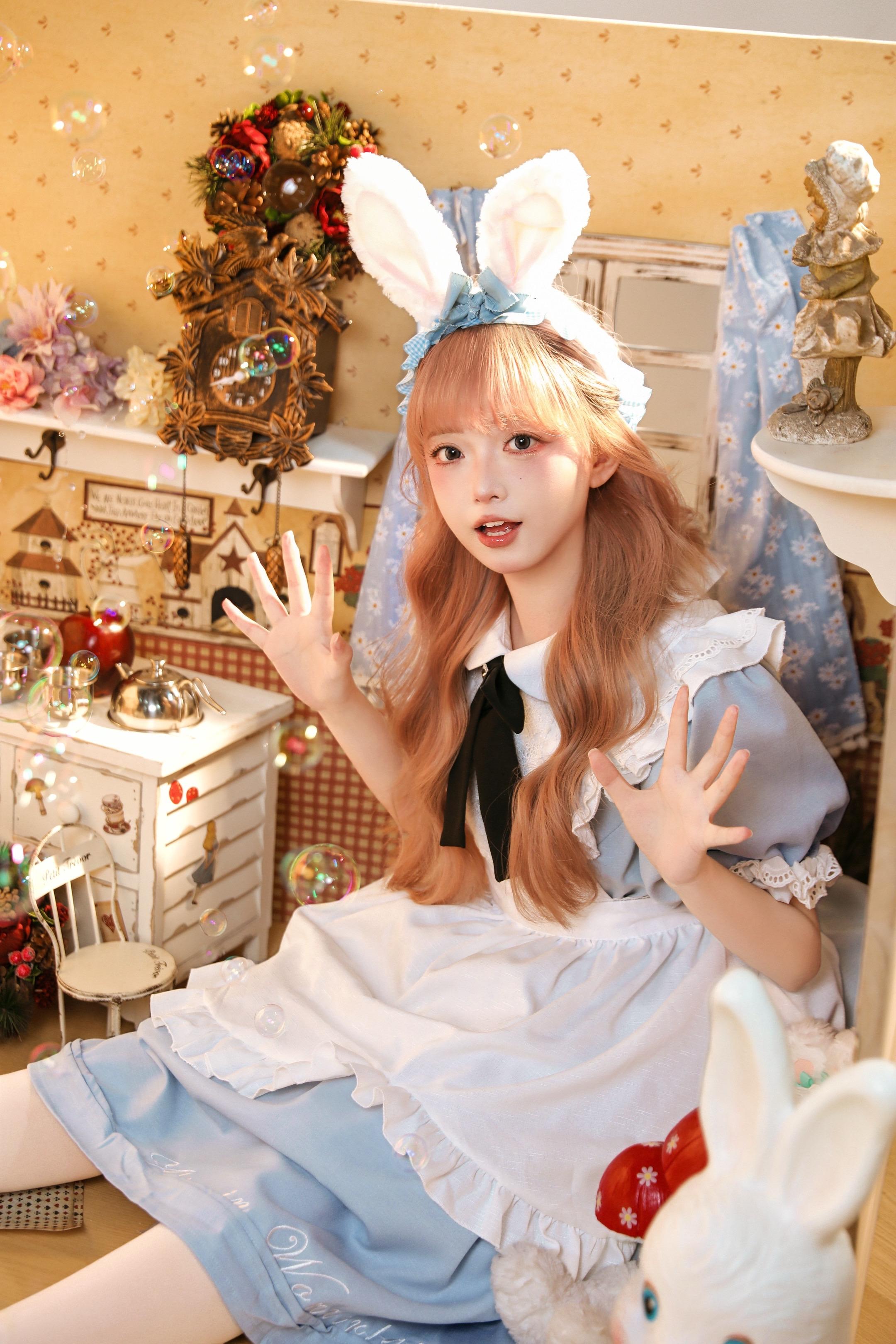 你有看到一只小兔子吗。