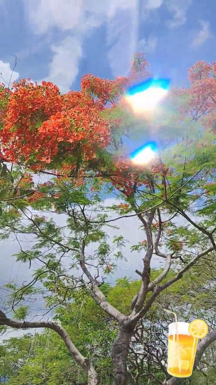 收录夏天。
The End。