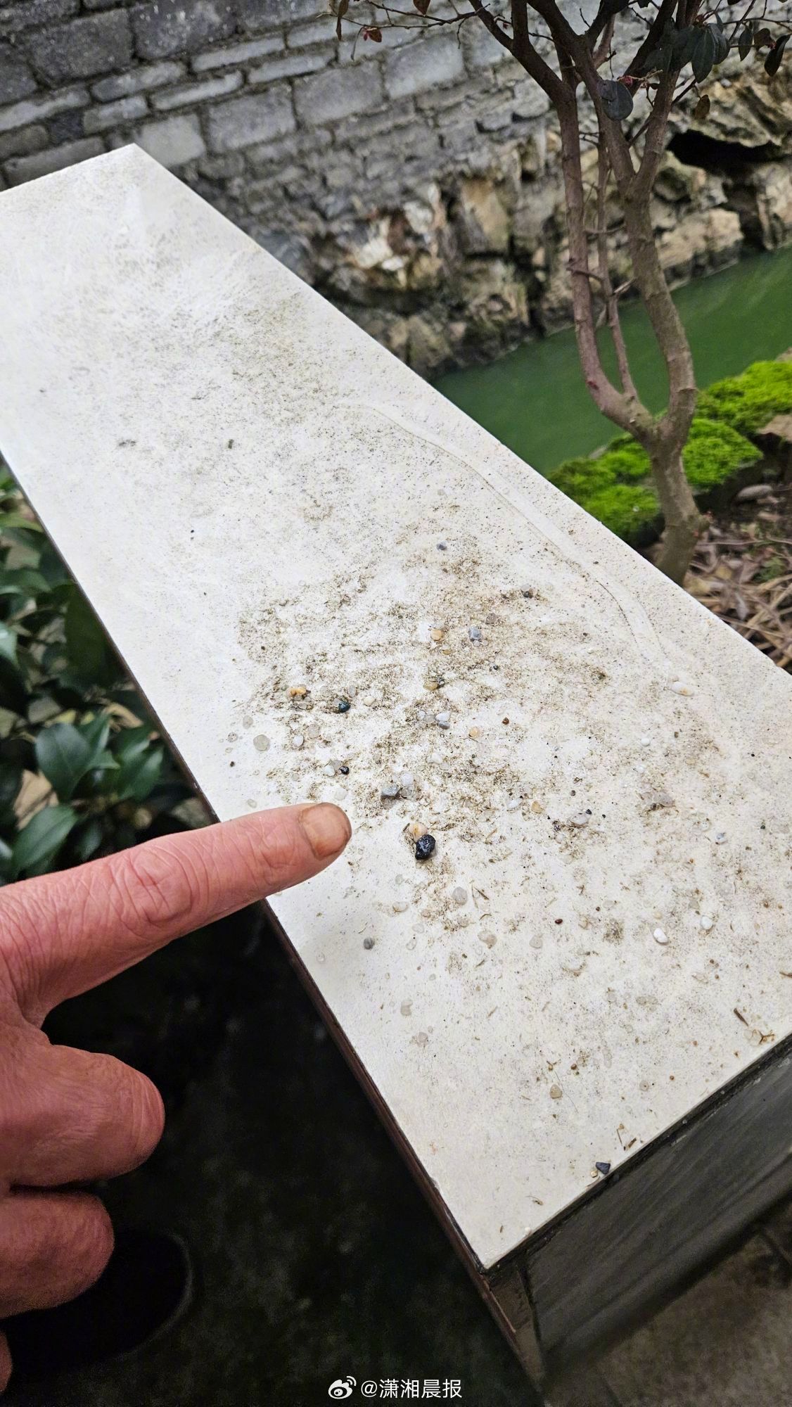 #男子杀鸭发现黄金被村民称是好兆头#【邵阳男子杀鸭发现黄金？当事人父亲称百分之八