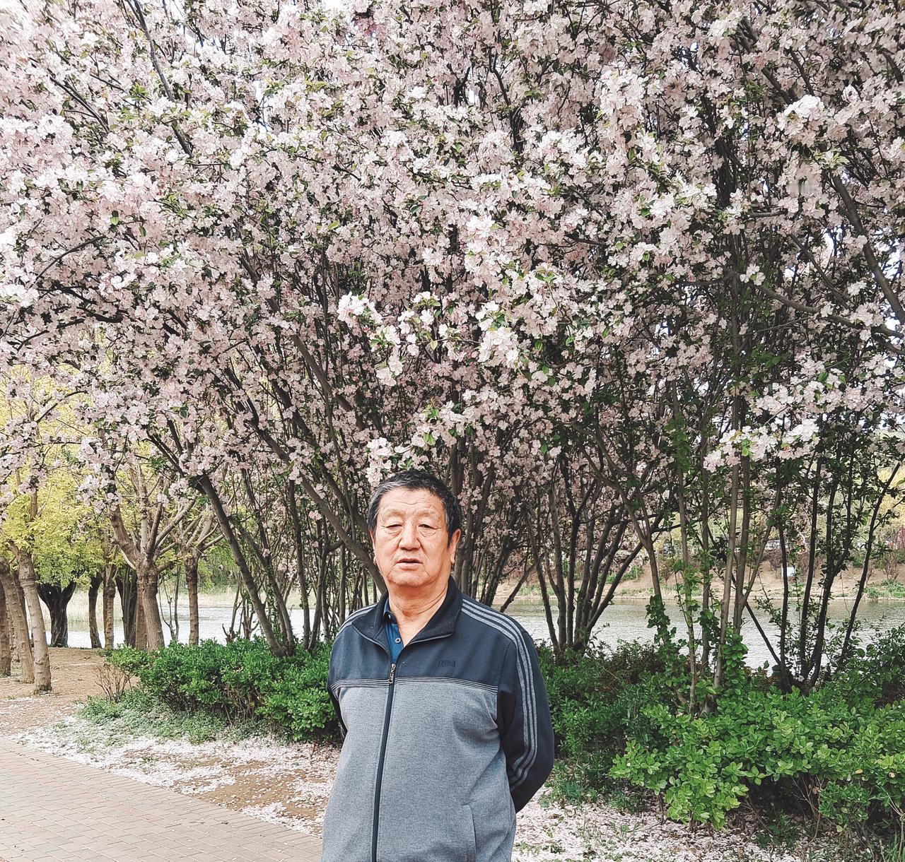 赏园林美景
