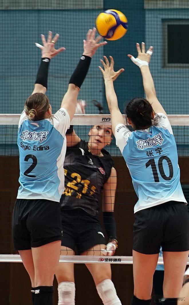 ‌排球‌（Volleyball）是一项用双手做发球、垫球、传球、扣球和拦网等动作