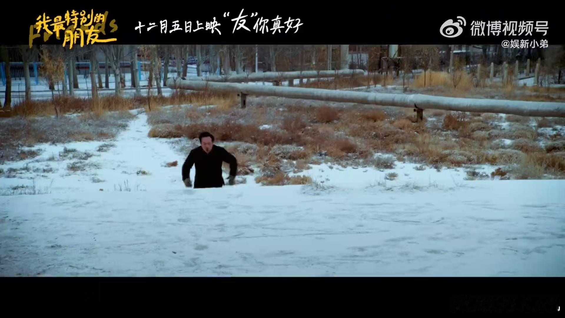 没有惊天动地的剧情，却藏着最真实的生活力量，张颂文演的老郑在绝境中寻找光亮，与亮