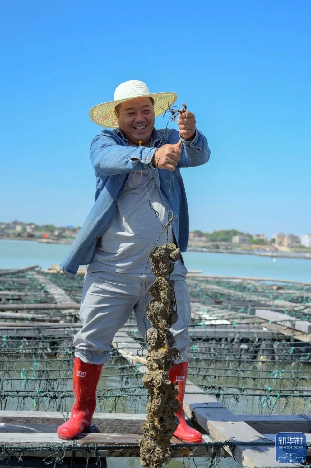 蚝美钦州潮听河海 《只有钦州牡蛎敢叫“大蚝”》钦州，这座被誉为“中国大蚝之乡”的