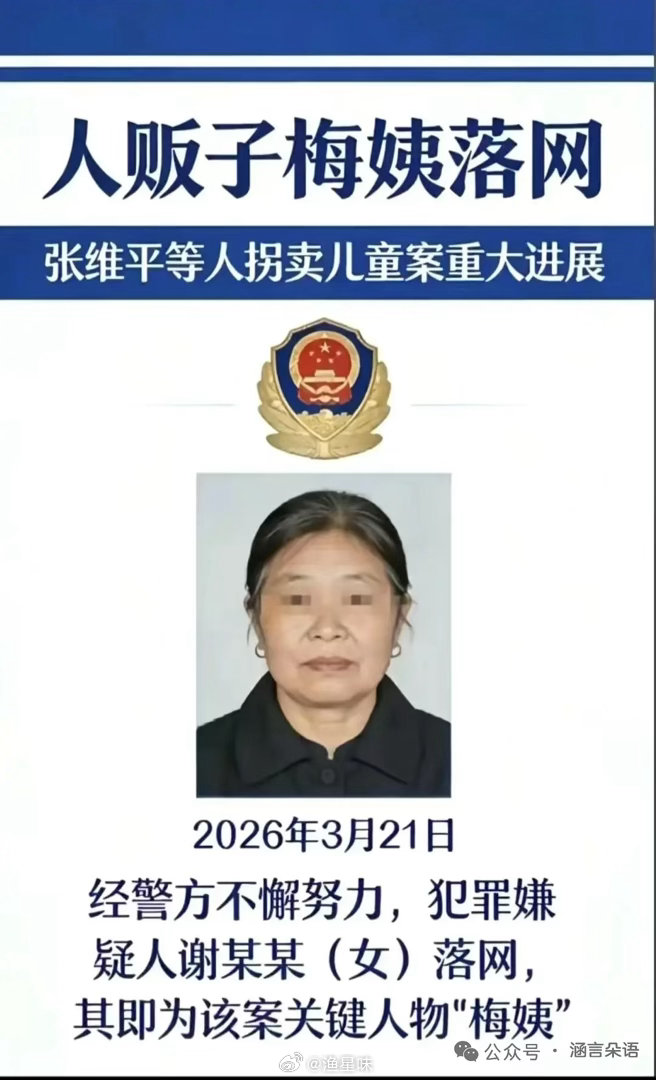 梅姨落网，应予严惩 