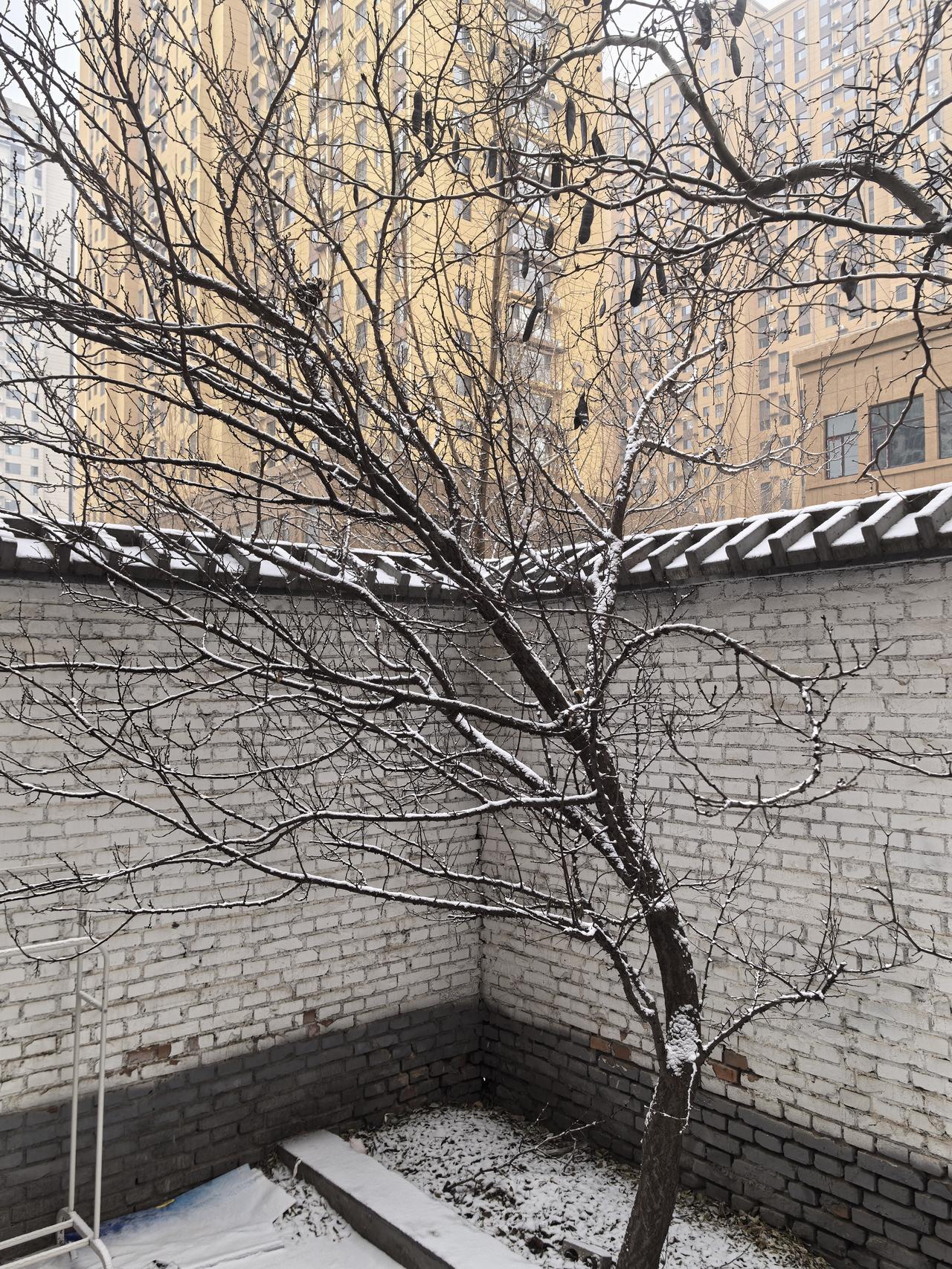 人到老年最值得炫耀的是什么?
人到老年，一是心态放平，要服老；二是身体健康，别给