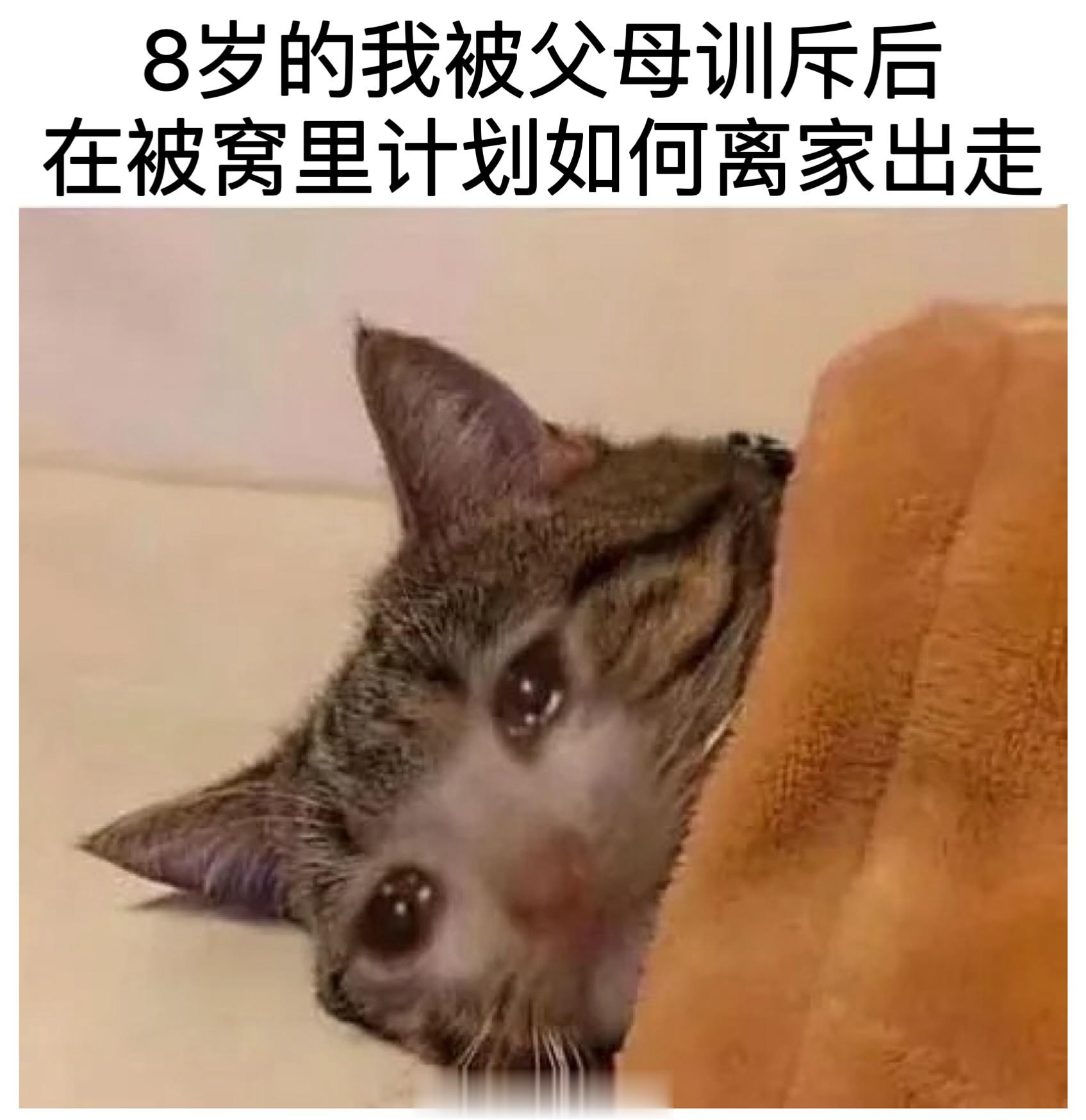 #meme##me_irl# ​​​