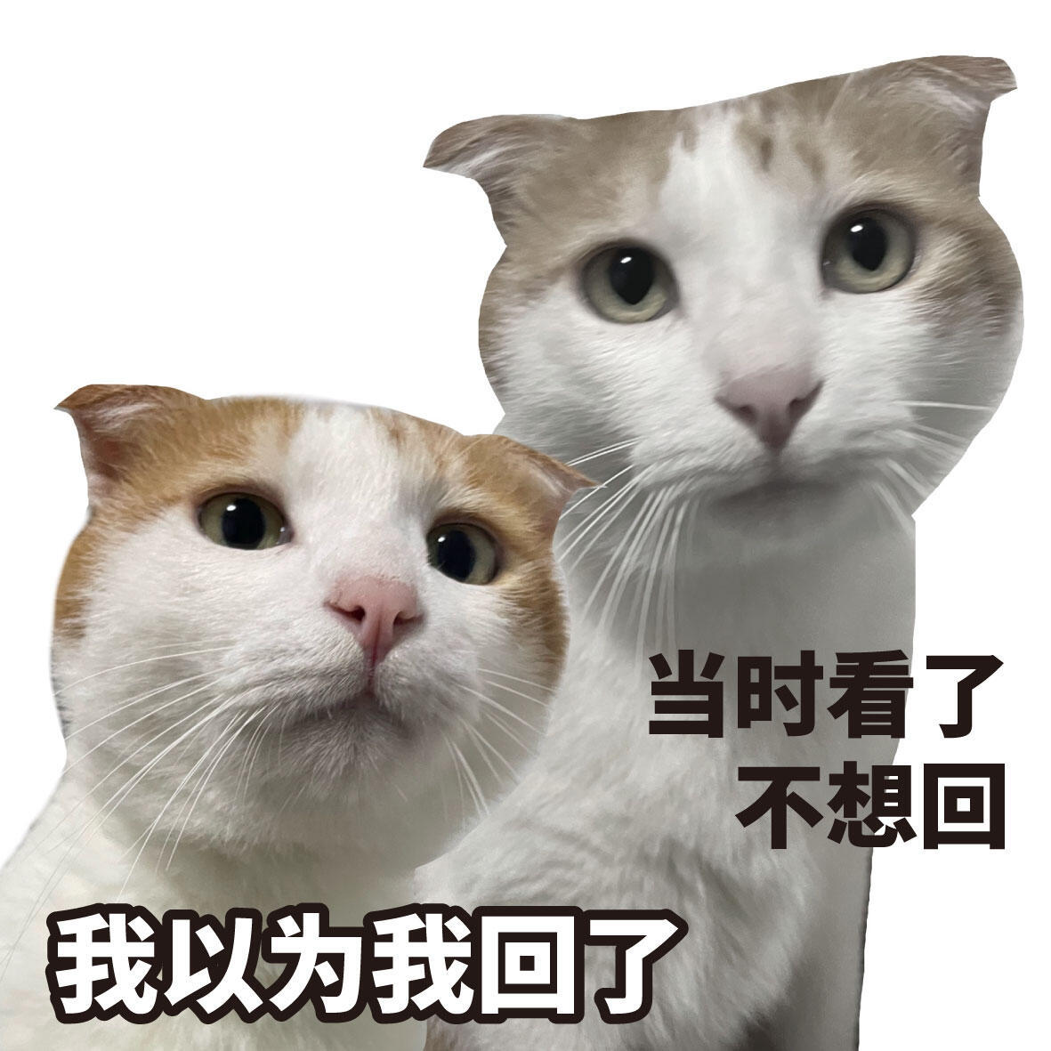 语言的艺术我大学特学 难回答的问题也能巧妙回应，说话有分寸感，相处让人舒服，社交