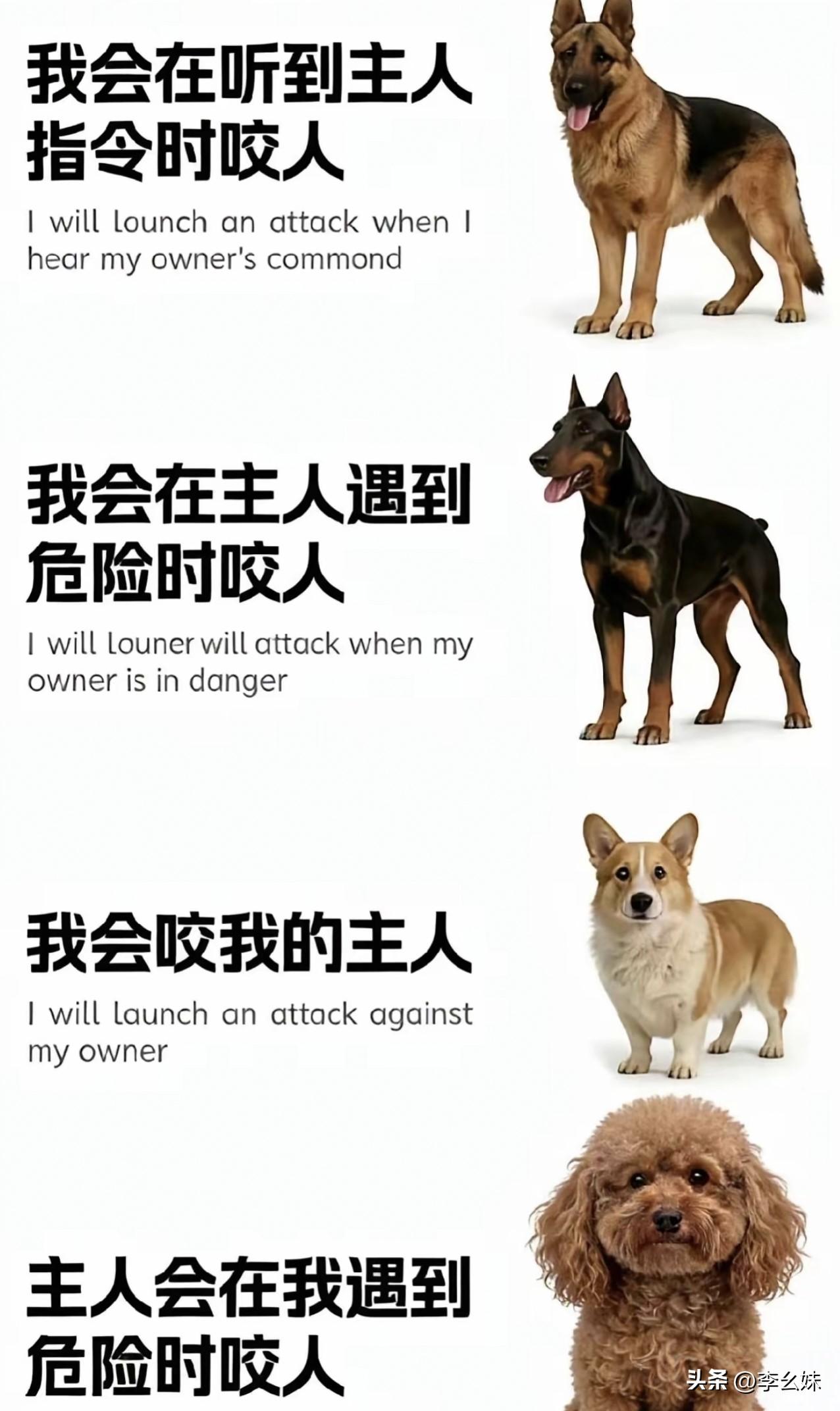 这就是他们的区别