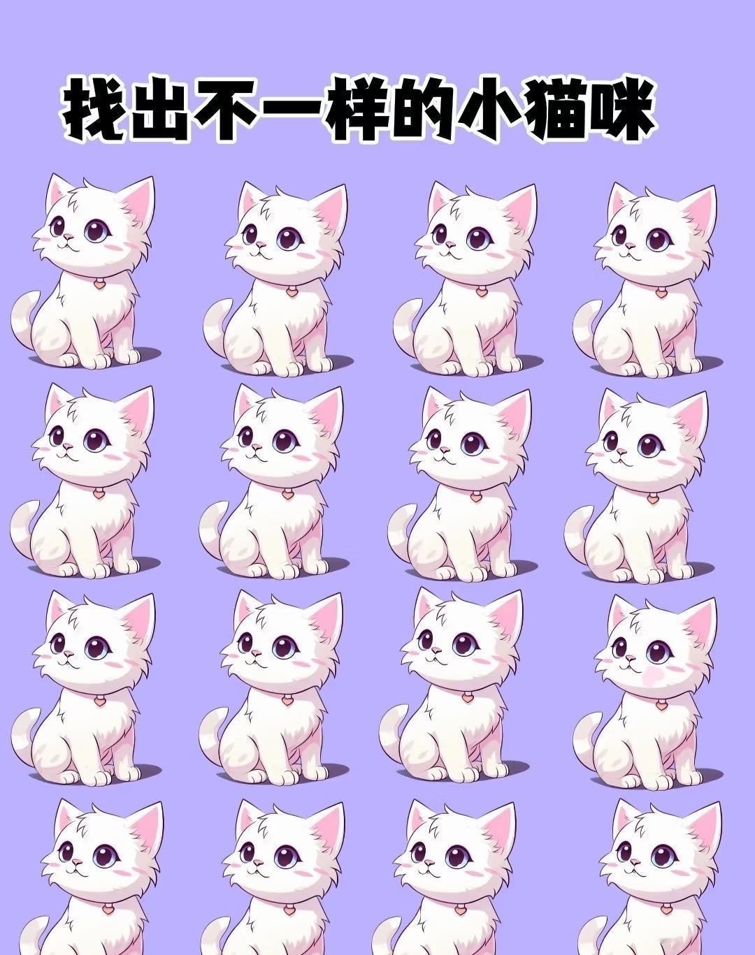 找出不一样的小猫咪！
可可爱爱的小猫咪，
抬起头在看什么呢？
据说有一只小猫咪跟
