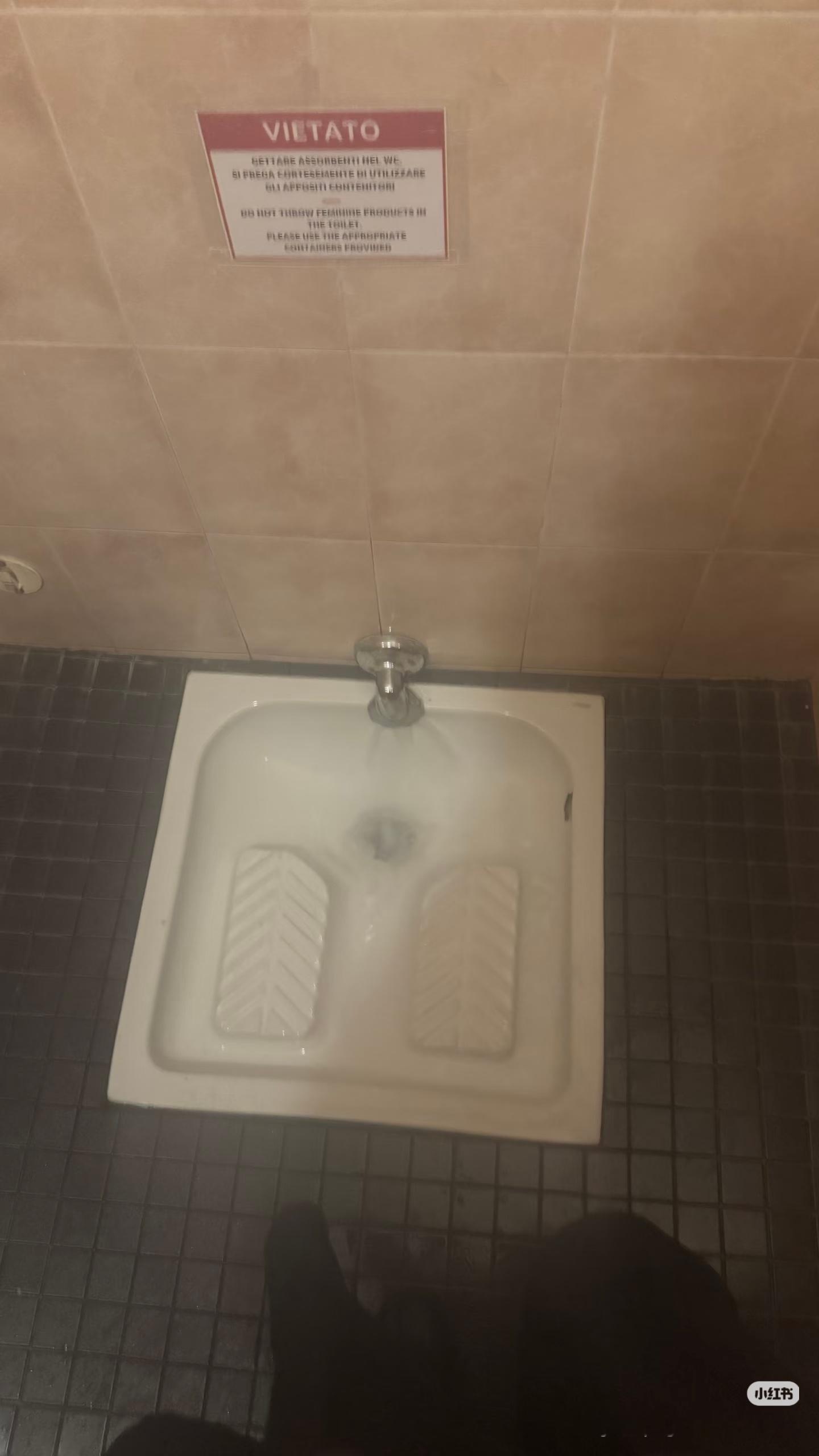 看评论也没看懂国外的厕所咋上的……但是我知道了这世界上有人不会蹲下