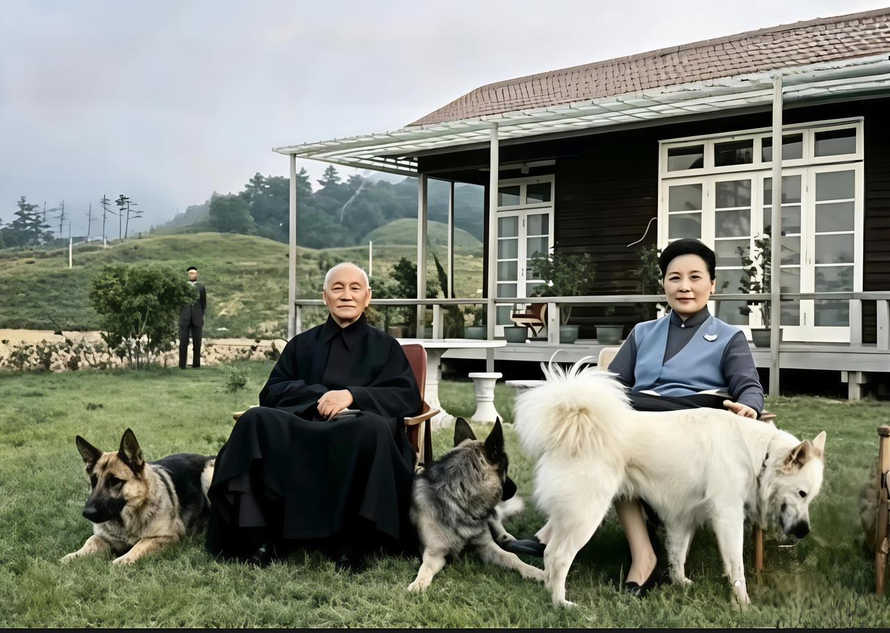 关于蒋介石的一生你想怎么评价1961年，台湾，蒋介石夫妇与三只爱犬的休闲时光。警
