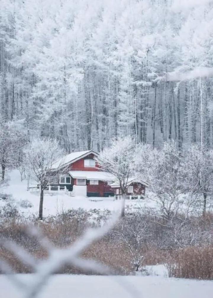 雪落寒山一片白，
神州大地待春来，
孤身望远丛林处，
………请友补句………？
[