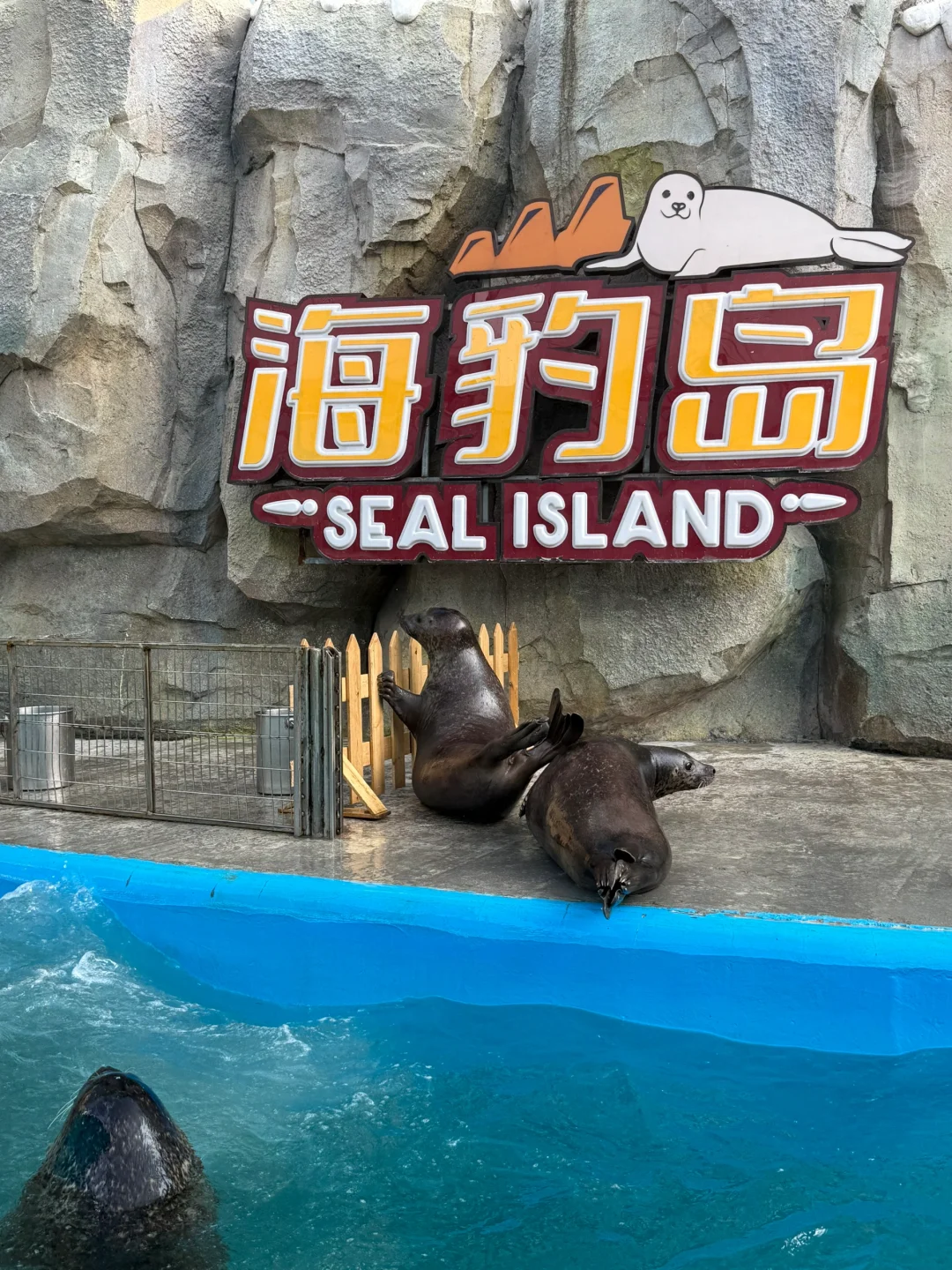 啊啊啊 ！太可爱了😻