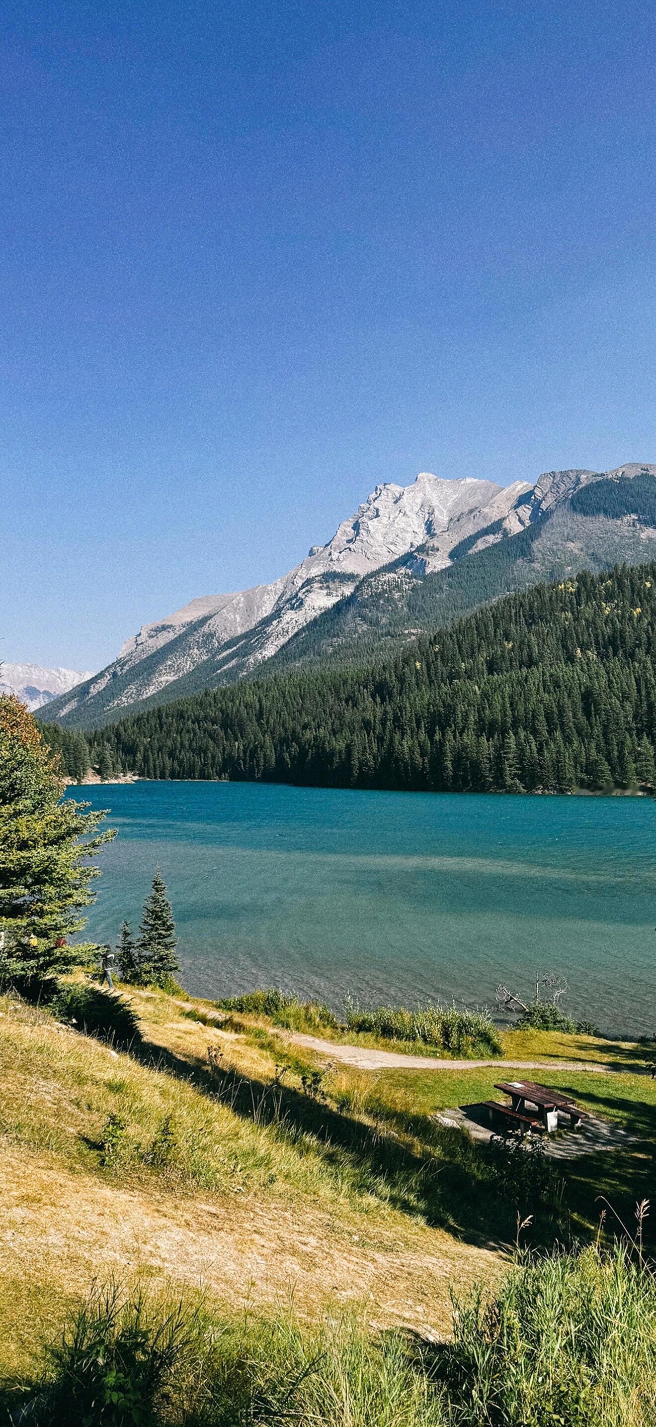 风景壁纸时间酿酒 余味成花 
