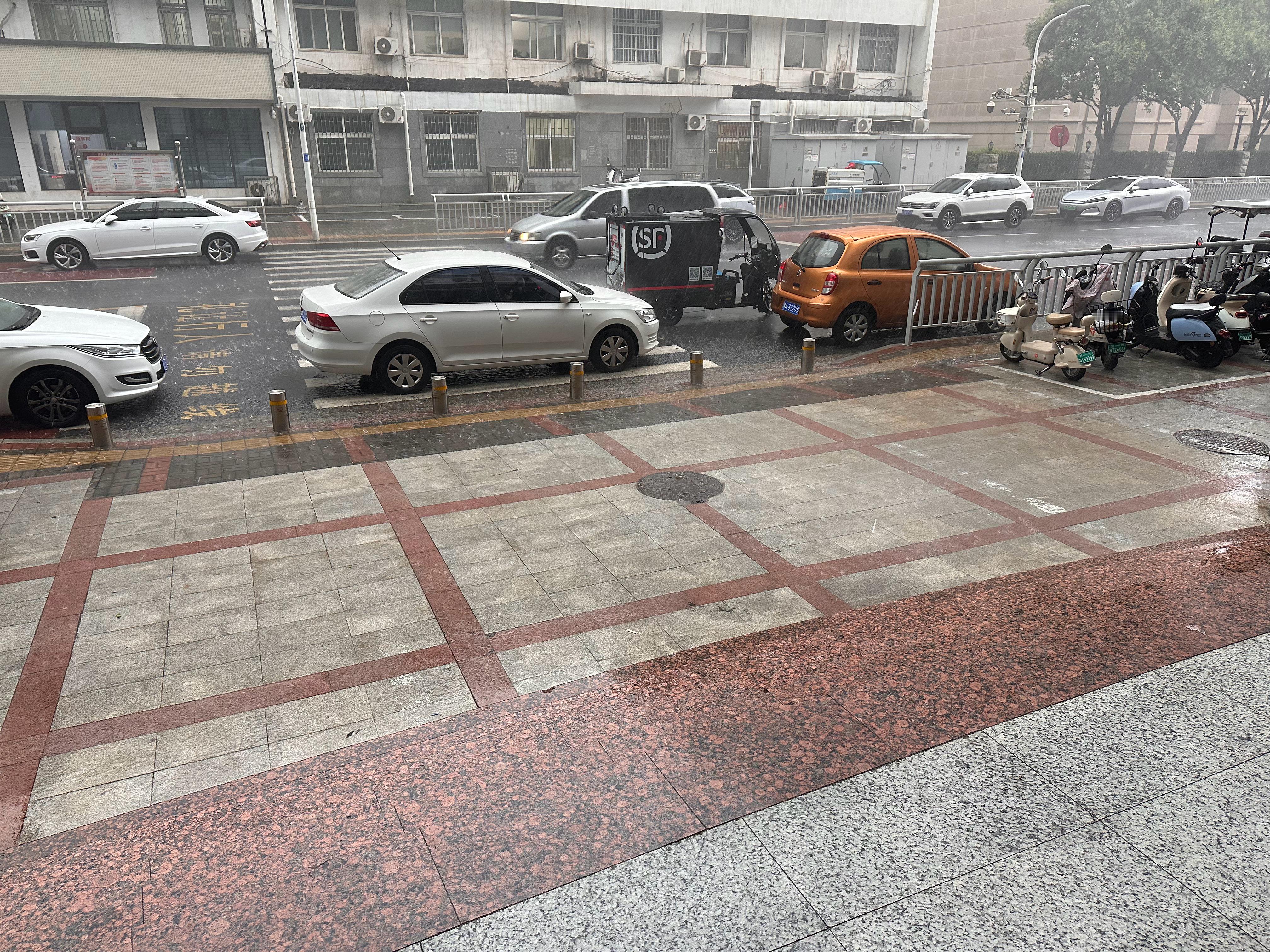 这么大的雨我的观赛搭子 ​​​