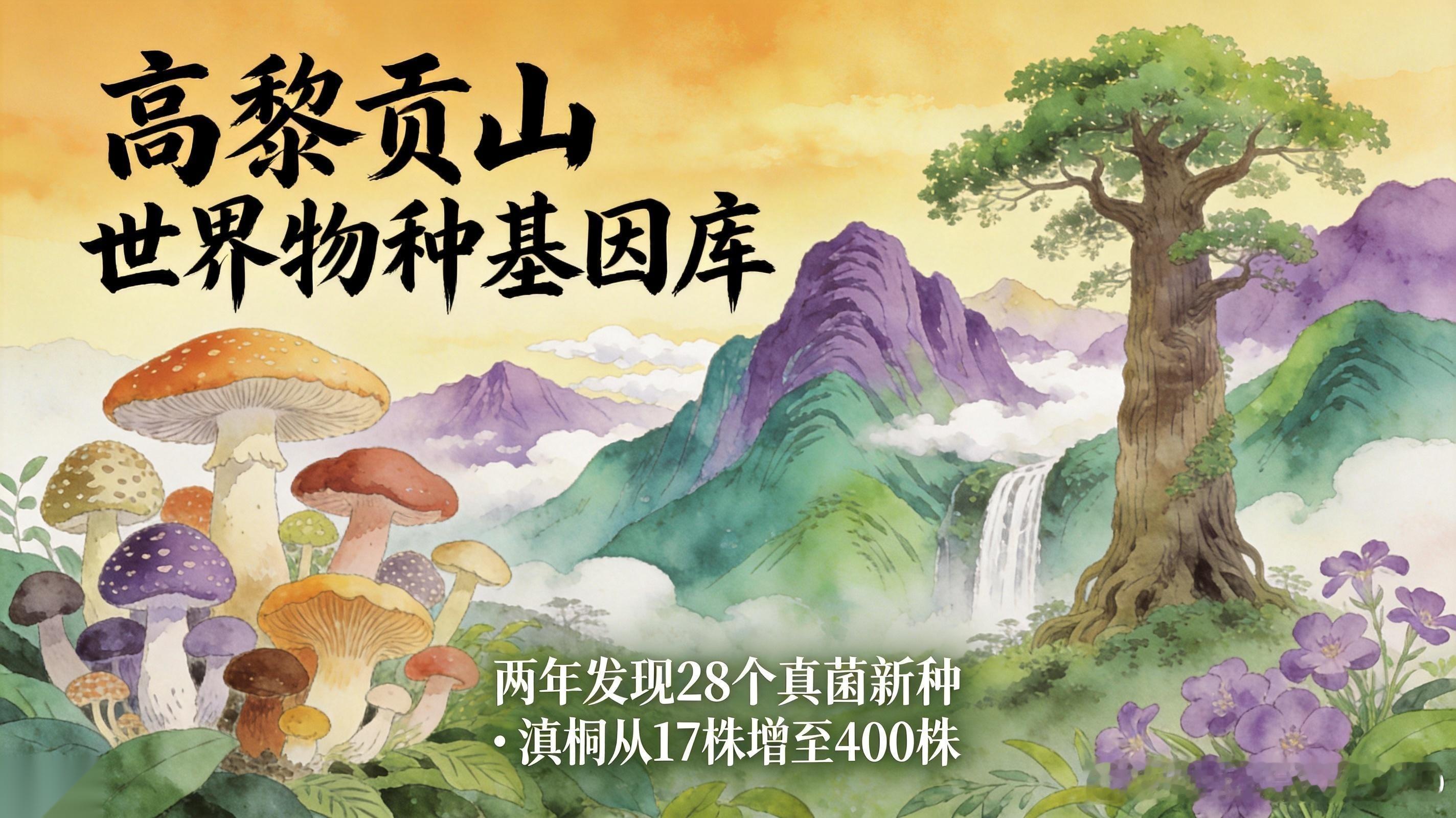 【🌏仅占中国0.36%的土地，却藏着17%的植物和26%的脊椎动物——高黎贡山
