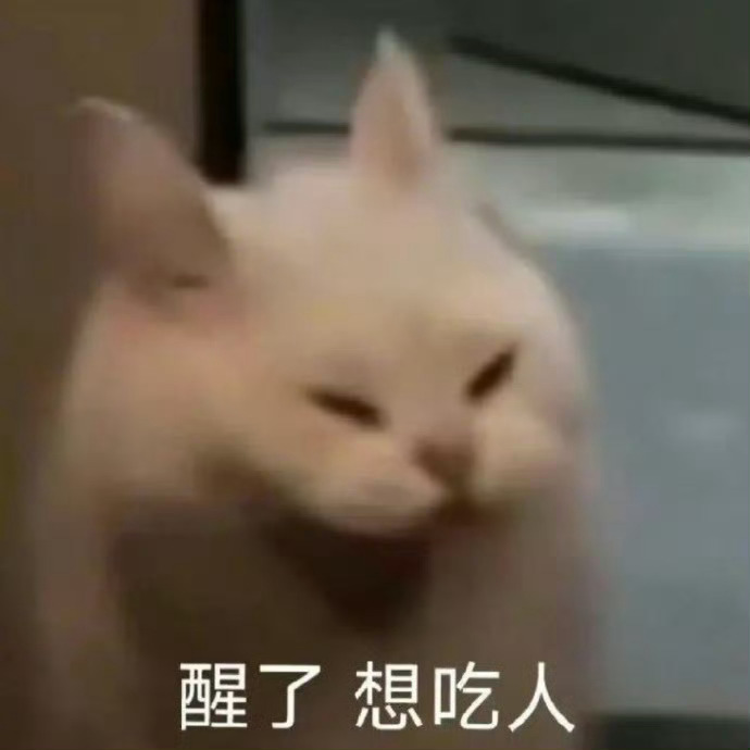 周一上班的我： ​​​