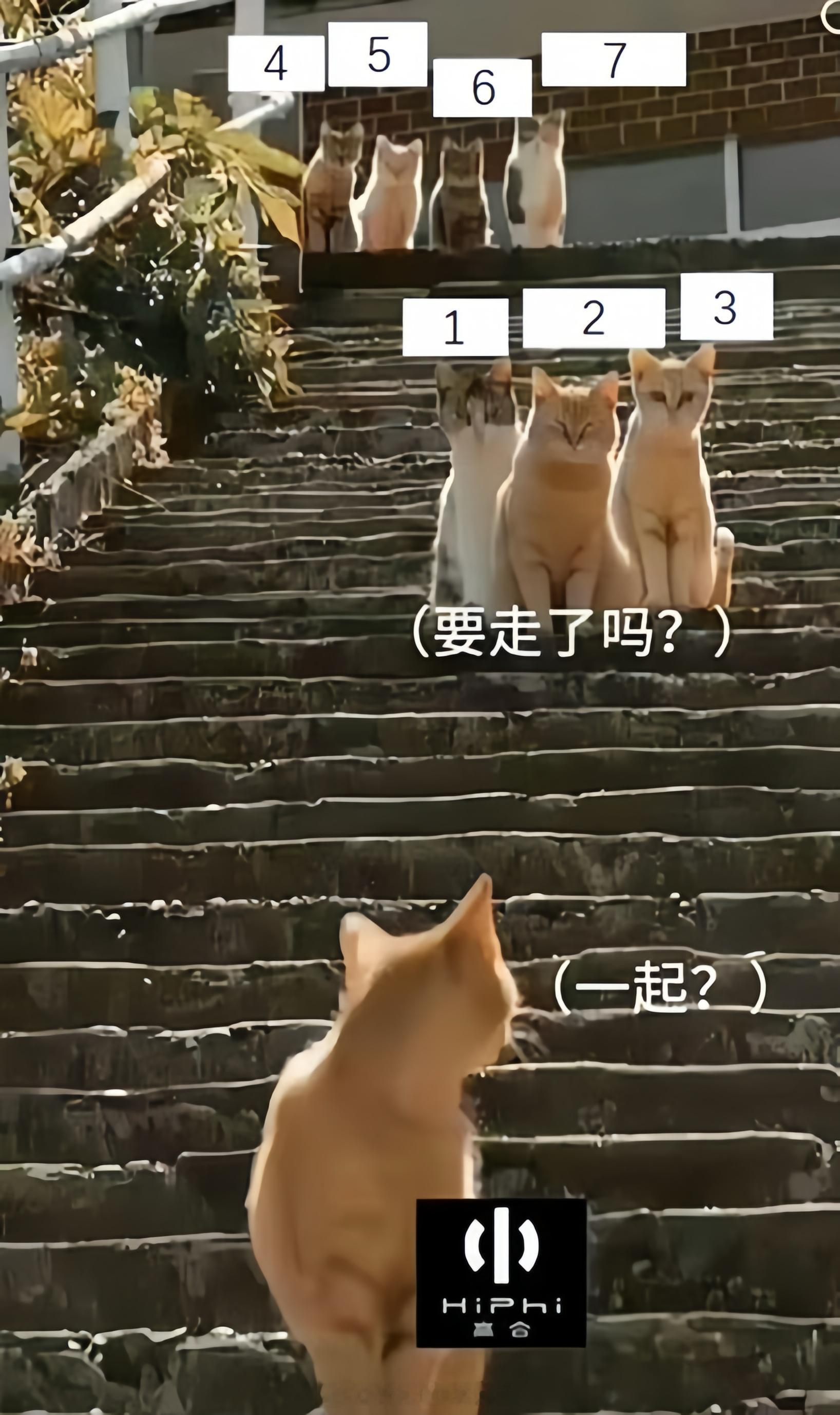 #高合申请破产#在你们心里1-7都怎么排序的？来勇敢说出你的答案~ ​​​