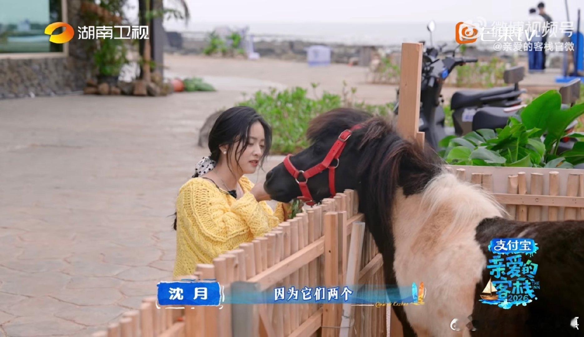 沈月很爱何老师100次亲爱的客栈 何炅暖心告别亲爱的客栈，沈月在留声卡吐露满满真