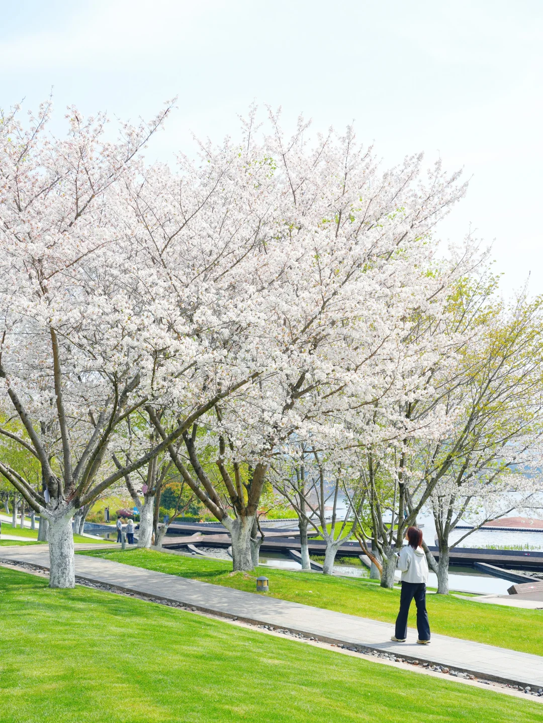 不敢相信，这居然是四月份的千岛湖‼️