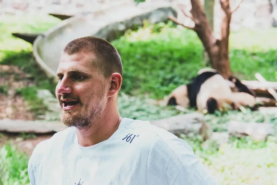 约基奇抵达成都了，正在看大熊猫🐼 ​​​