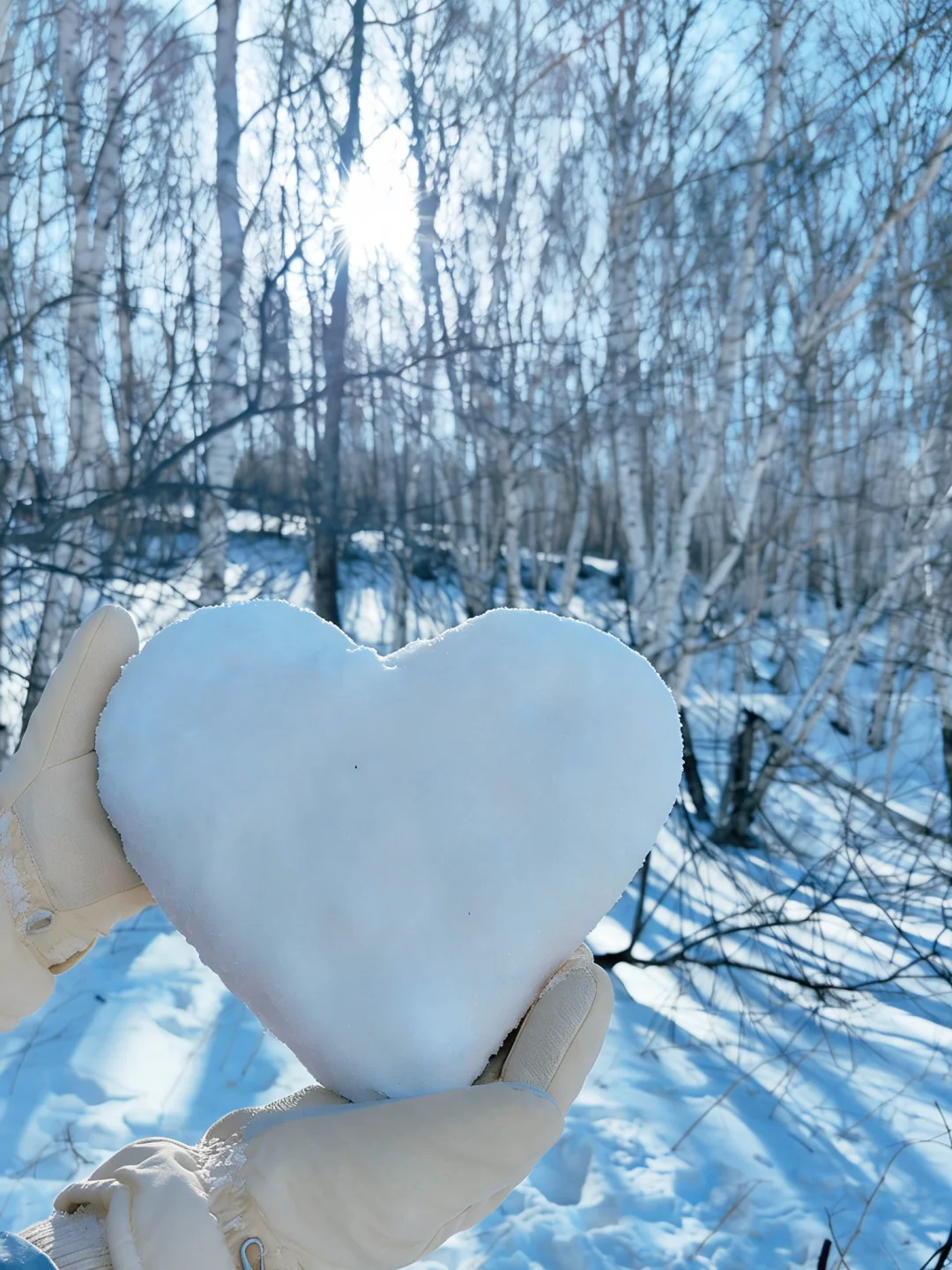 呜呼，老公崽，你儿子比你厉害啦，你都没滑过雪，儿子一开始就单板了哦~~~虽然只滑