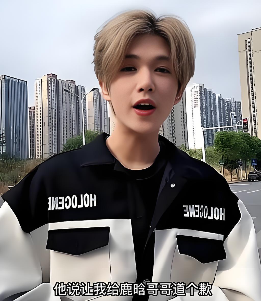 鹿哈或需赔偿消费者26.9亿元鹿哈就是起初模仿鹿晗的那个人吗？这样的人居然能成为