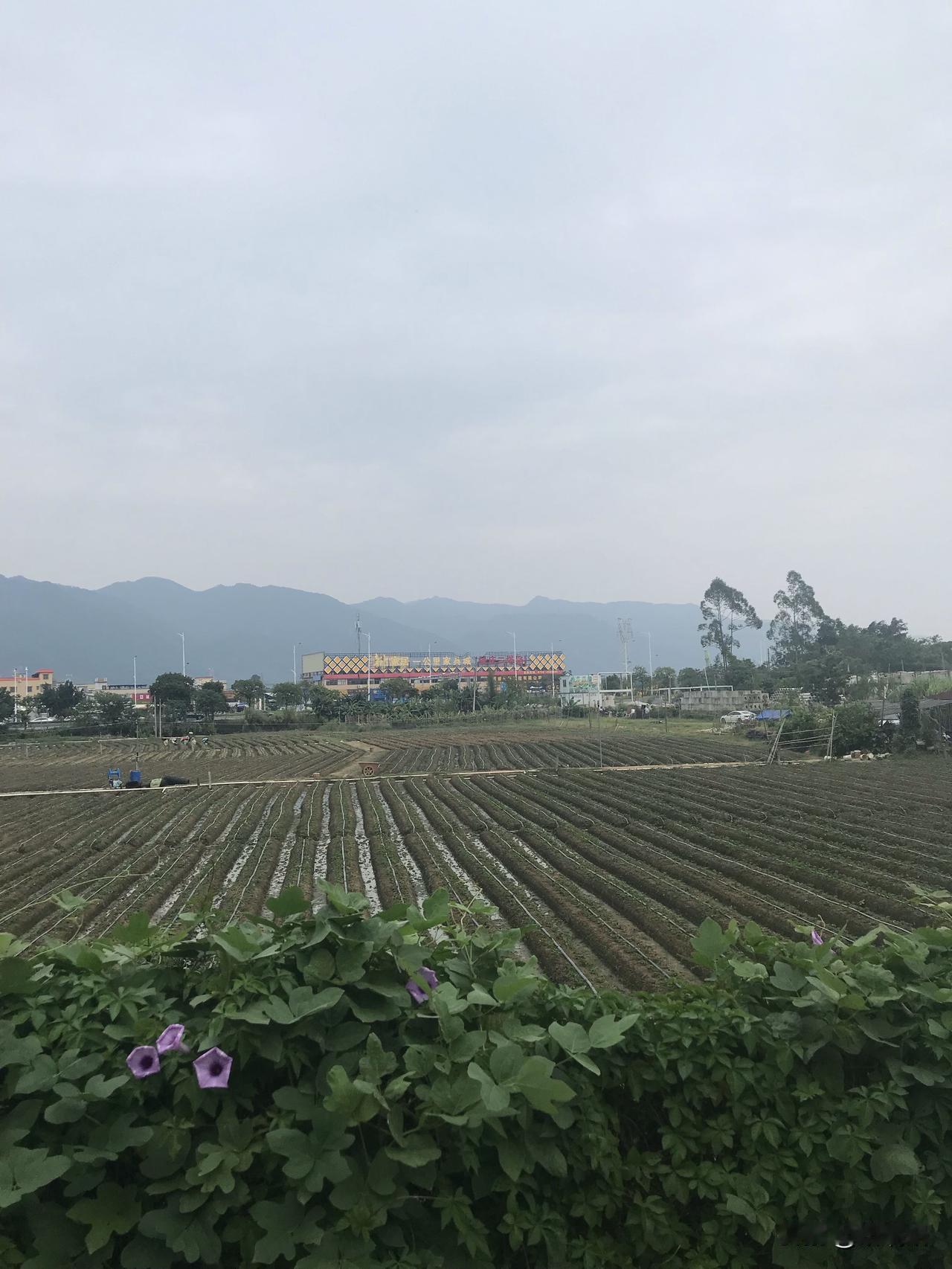 有钱确实方便，头疼脑热能立马去医院，不用看谁脸色，天冷了还能自己买件厚棉袄。可去