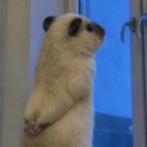 唉 