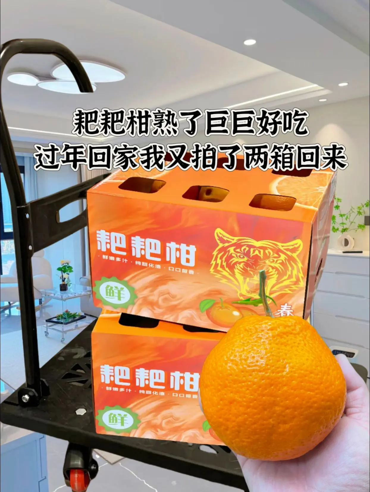 耙耙柑巨巨好吃口感甜甜的。姐妹们过年了家里人多，招待客人这些，都可以用...