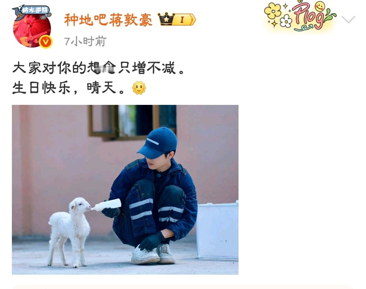 大家还在想念小羊晴天，还好今天也是个晴天。 ​​​
