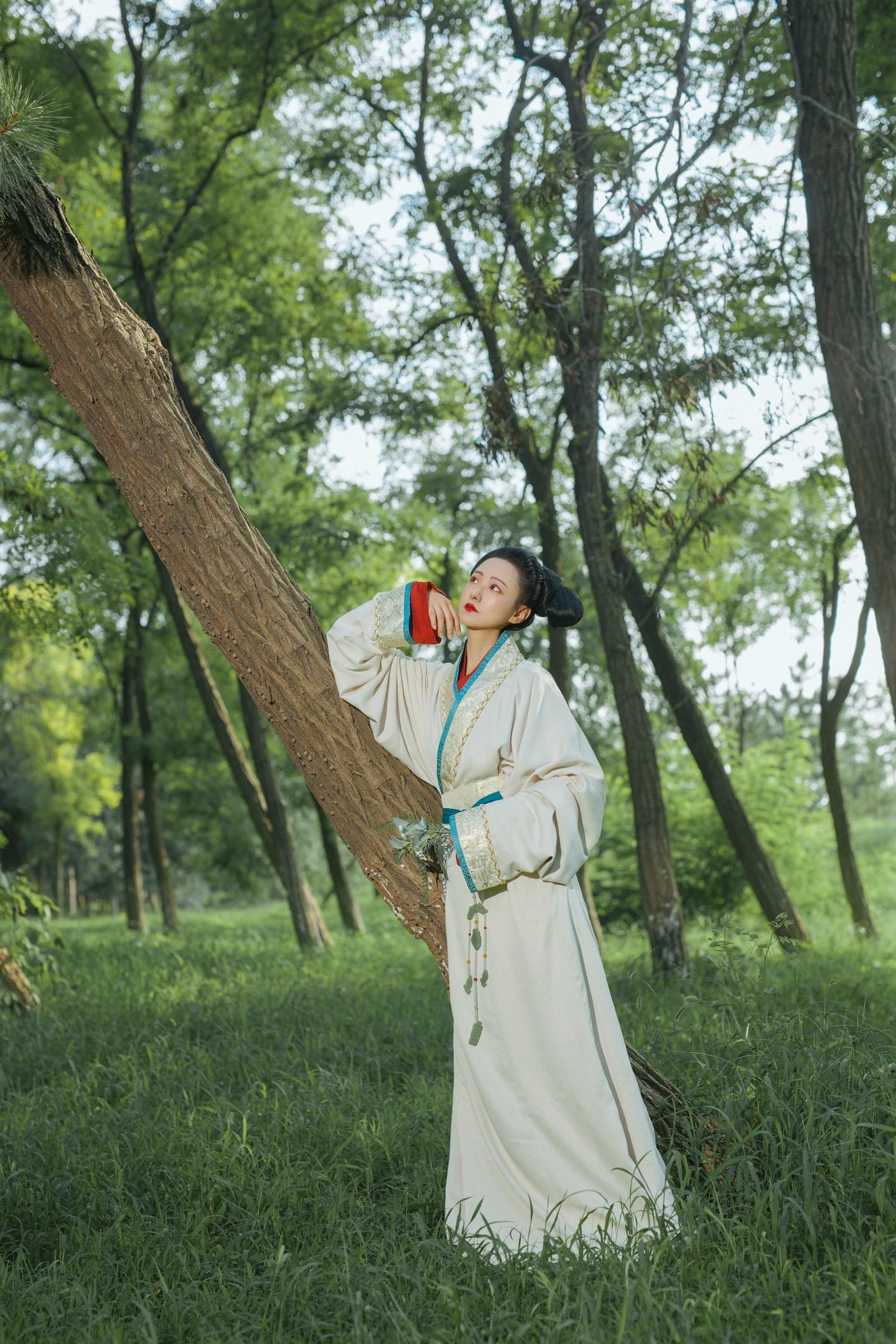 战国·楚｜风飒飒兮木萧萧，思公子兮徒离忧。中国风