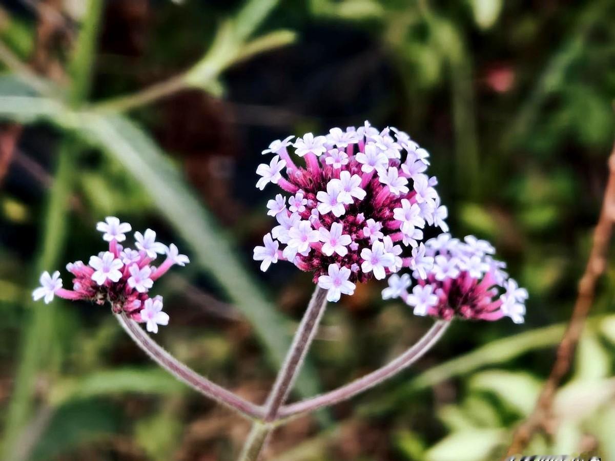 养育孩子，一定要教会孩子与人交往，
在家时一家人全都围着他一个人转，他习惯了所有