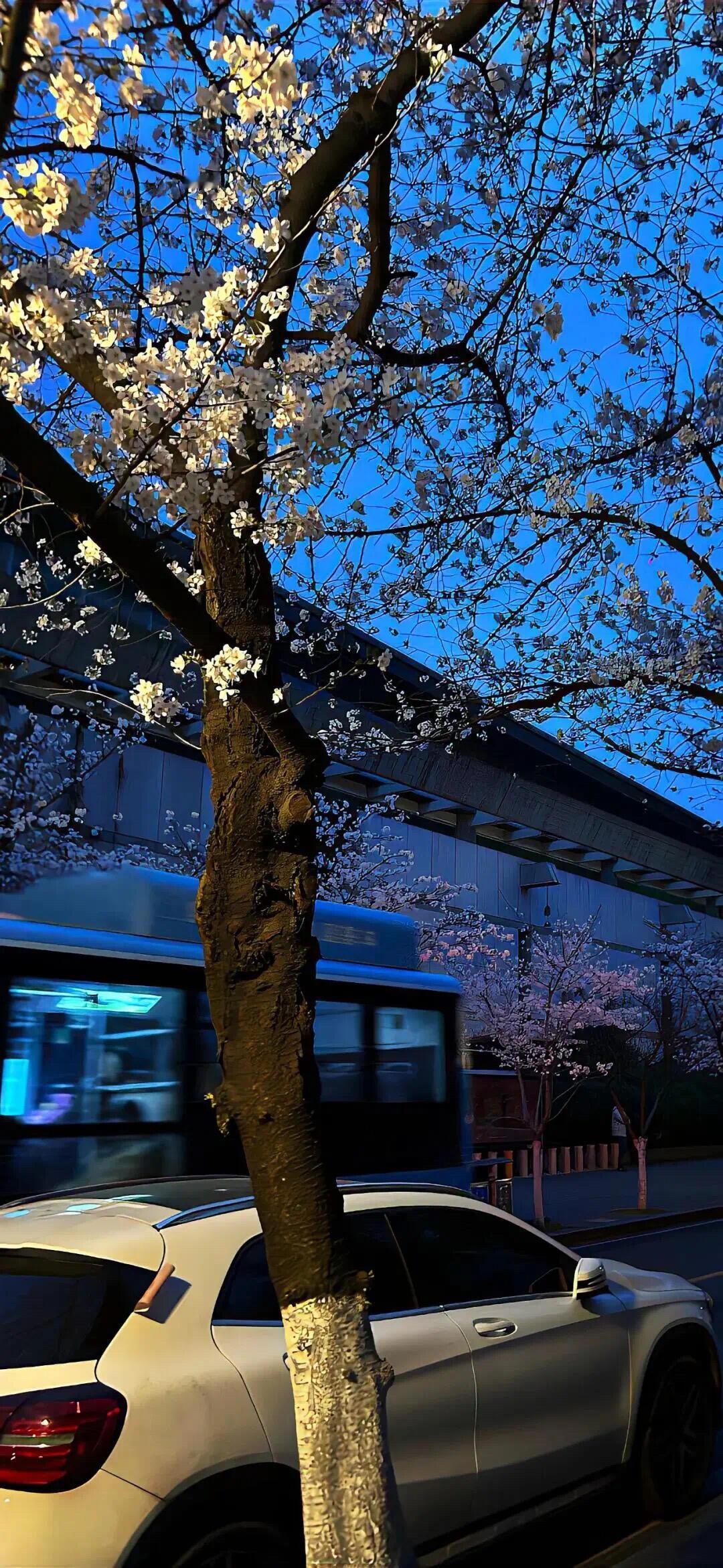 全屏锁屏壁纸 