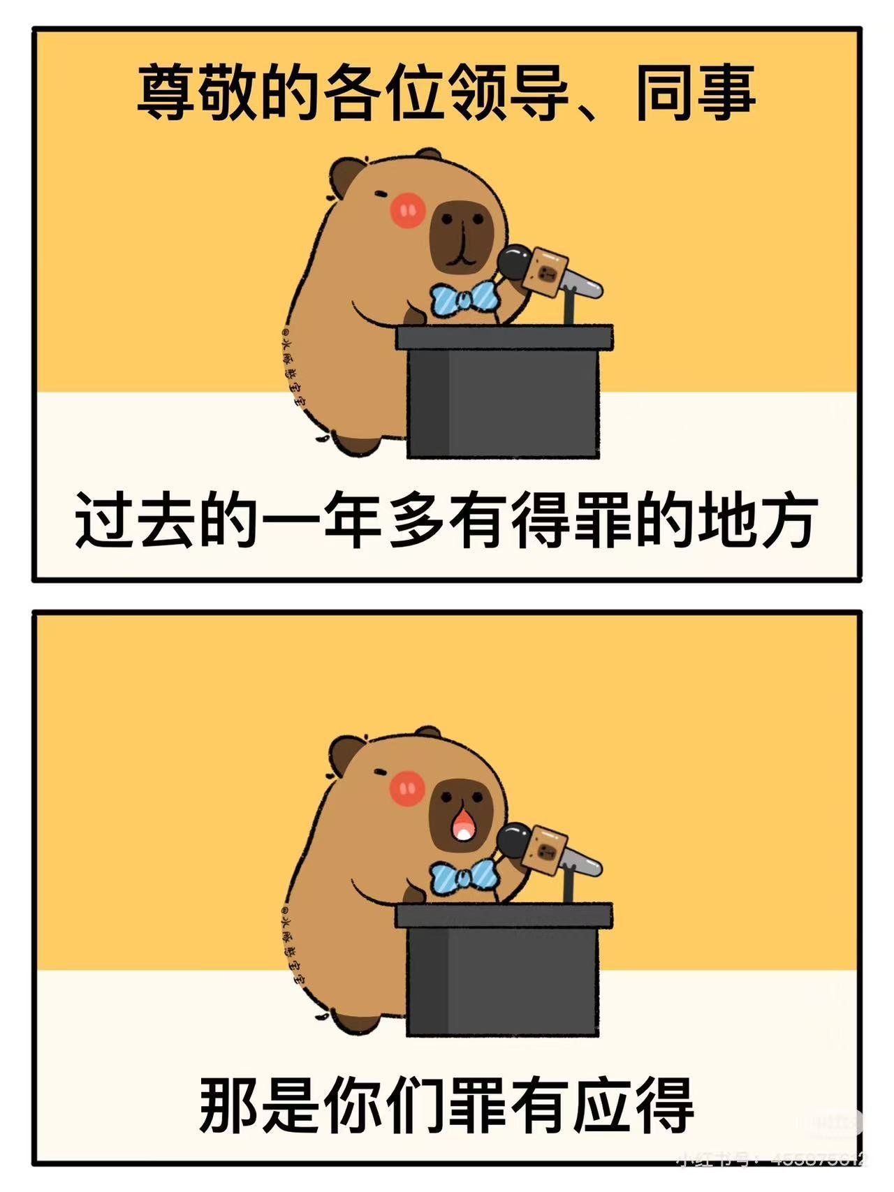 卡皮巴拉 的年终总结 哈哈哈哈哈 