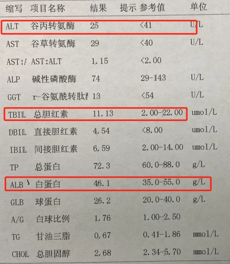 恭喜！肝功能只要这三项正常就不用太担心