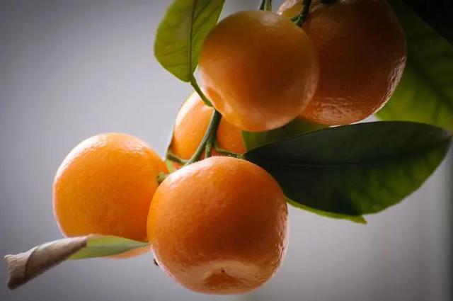 脱发|健康信息｜橘子吃多了会上火？还会变成小黄人？关于吃橘子的6个真相