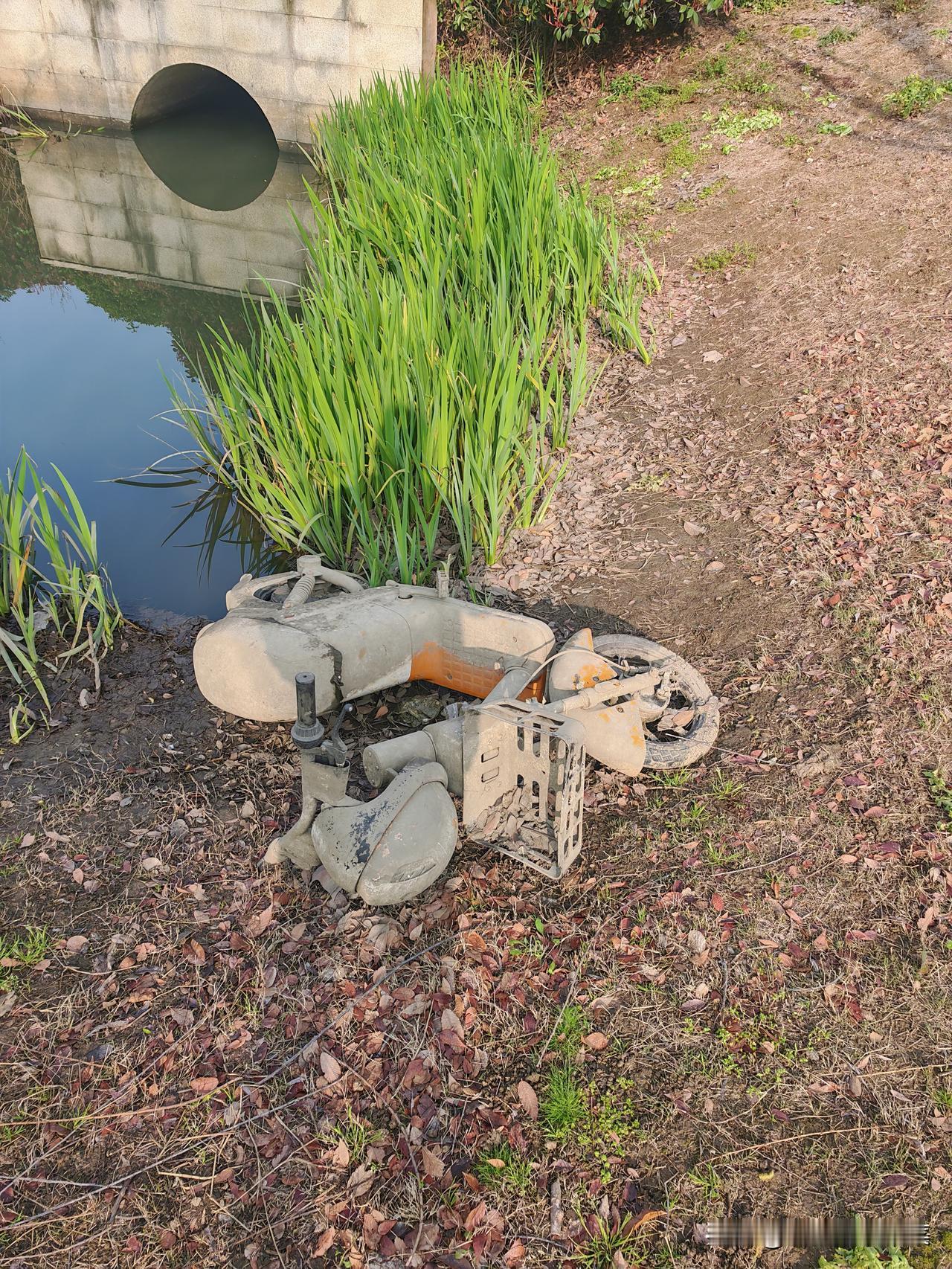 有些人天生心理就很阴暗，好好的车非要给人家推到水里。
每次跑步路过这片草地，都能