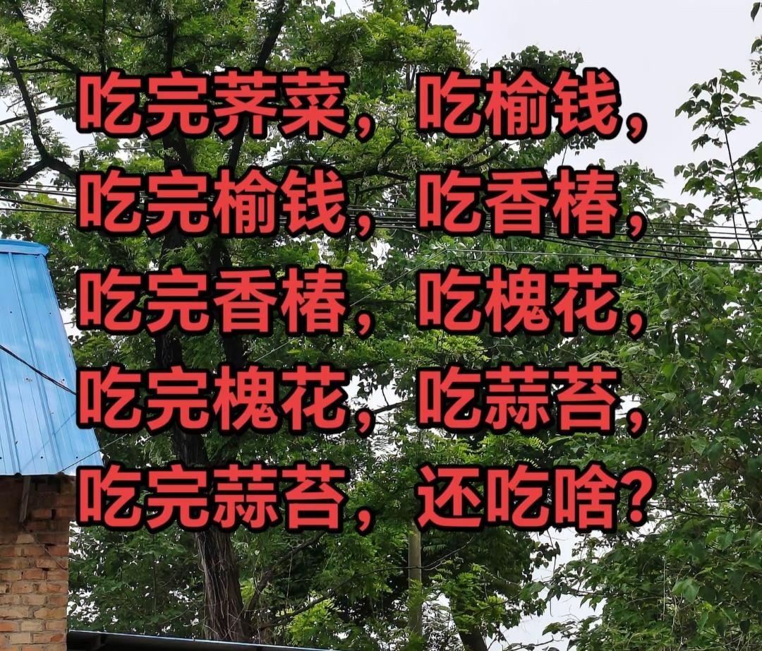 吃完这些美味，你还想吃啥？🍃南方人不懂北方人的菜[呲牙]下一步是不是该吃茄子?