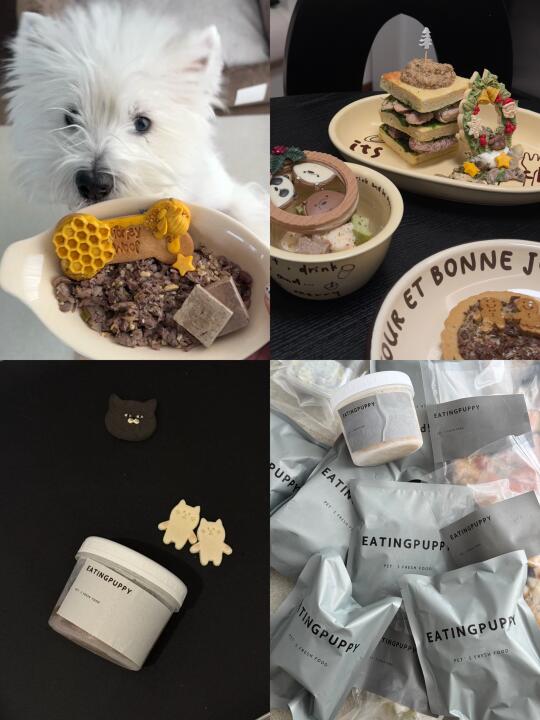 小狗食堂分享｜Eating Puppy鲜食