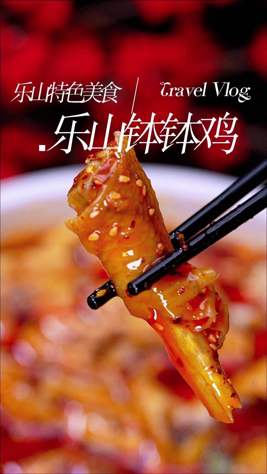 🥘家头来客，懒得伤心的美食博主都会做一大盆乐山钵钵鸡，有荤有素，大家都爱吃！?