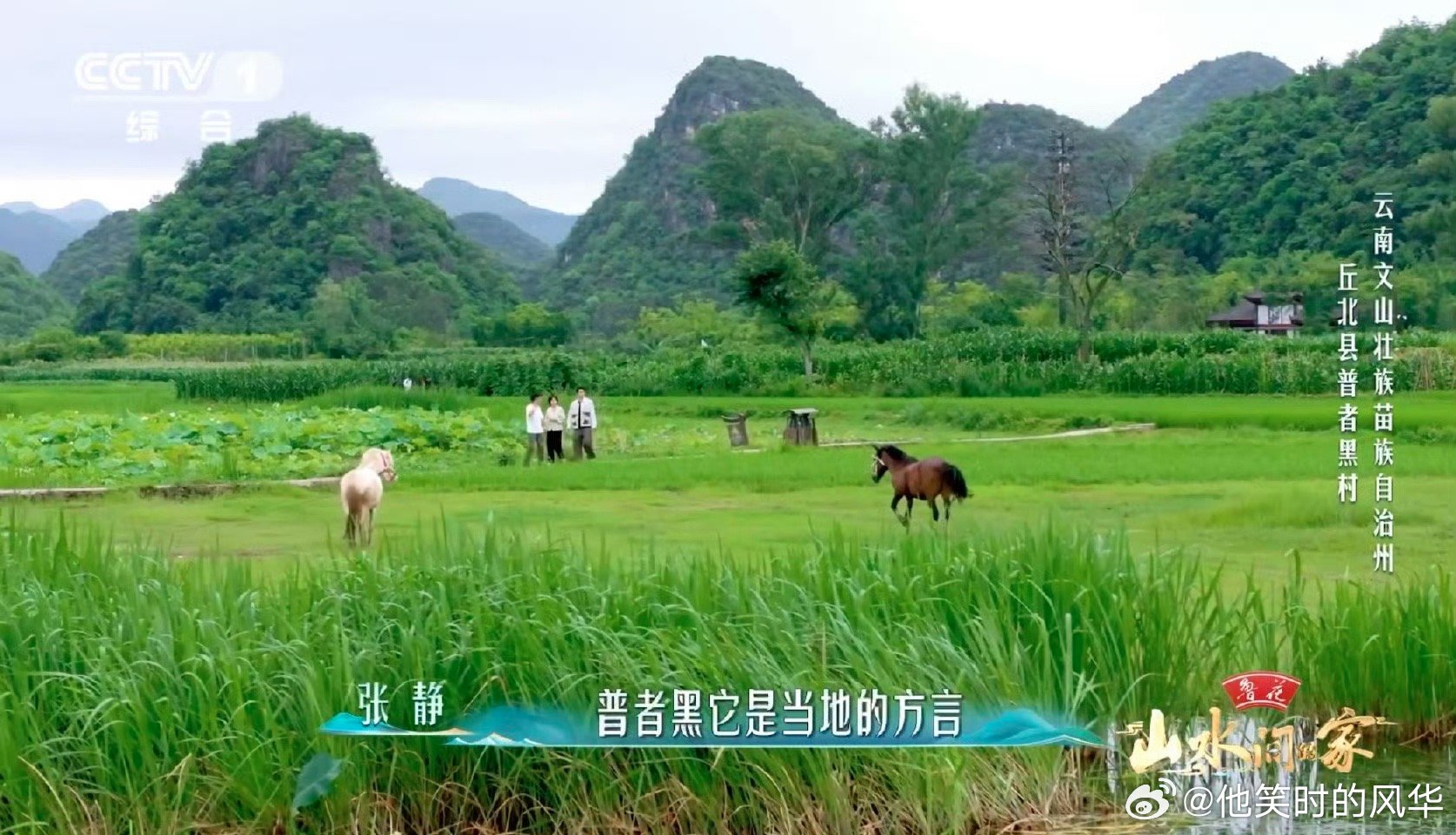 中国乡村藏着一块巨型夹心饼干 云南普者黑村藏着地质奇观！“夹心”结构让地表水汇聚