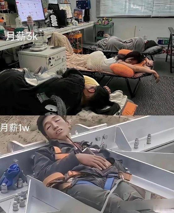 如果是你，你会怎么选?