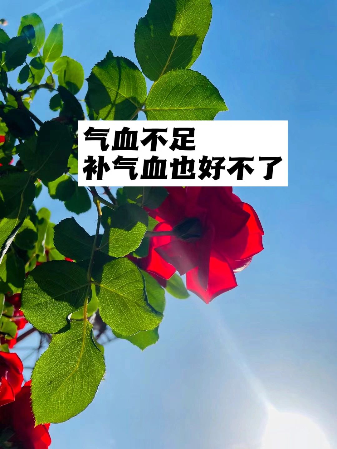 气血不足，补气血也好不了.