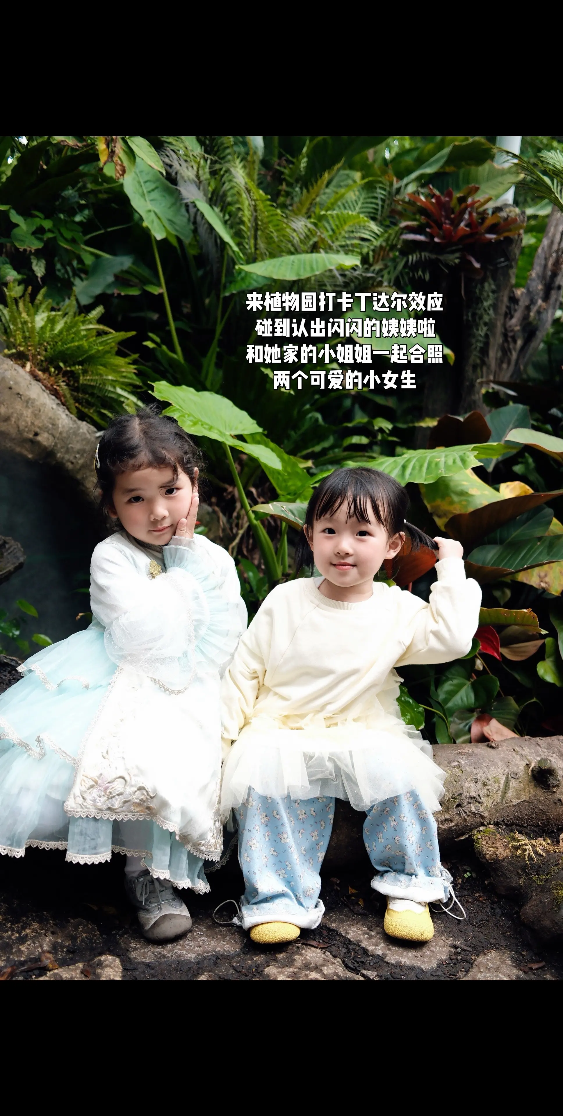 闪闪酱 丁达尔效应