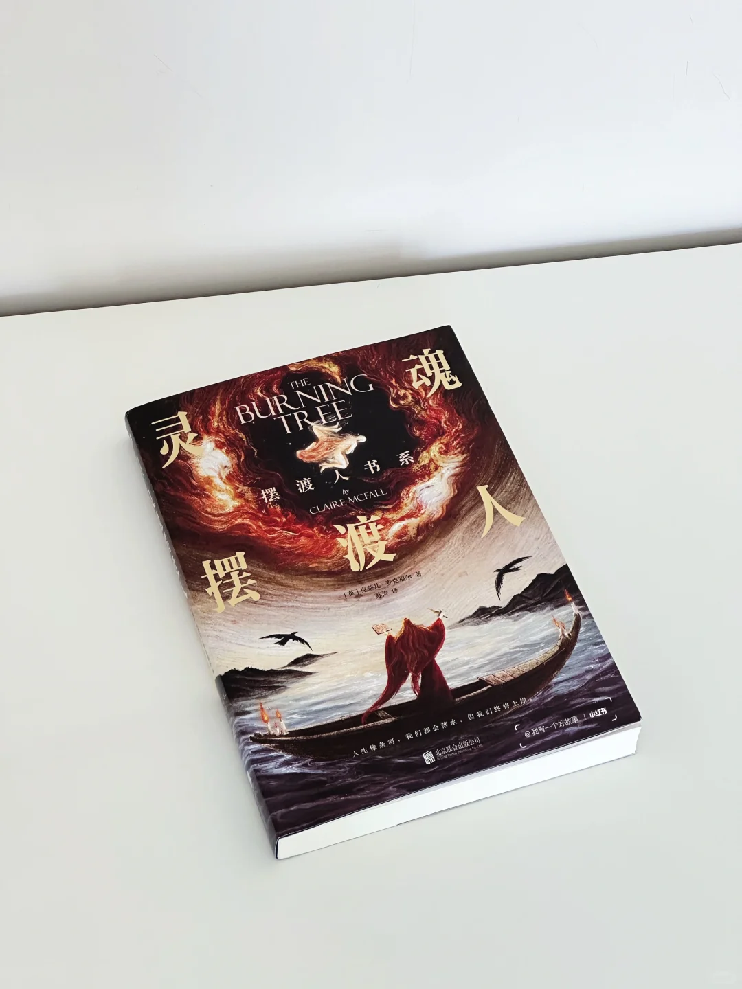 为爱转“浓”🥰看完淡人的恋爱我狠狠嗑了💗