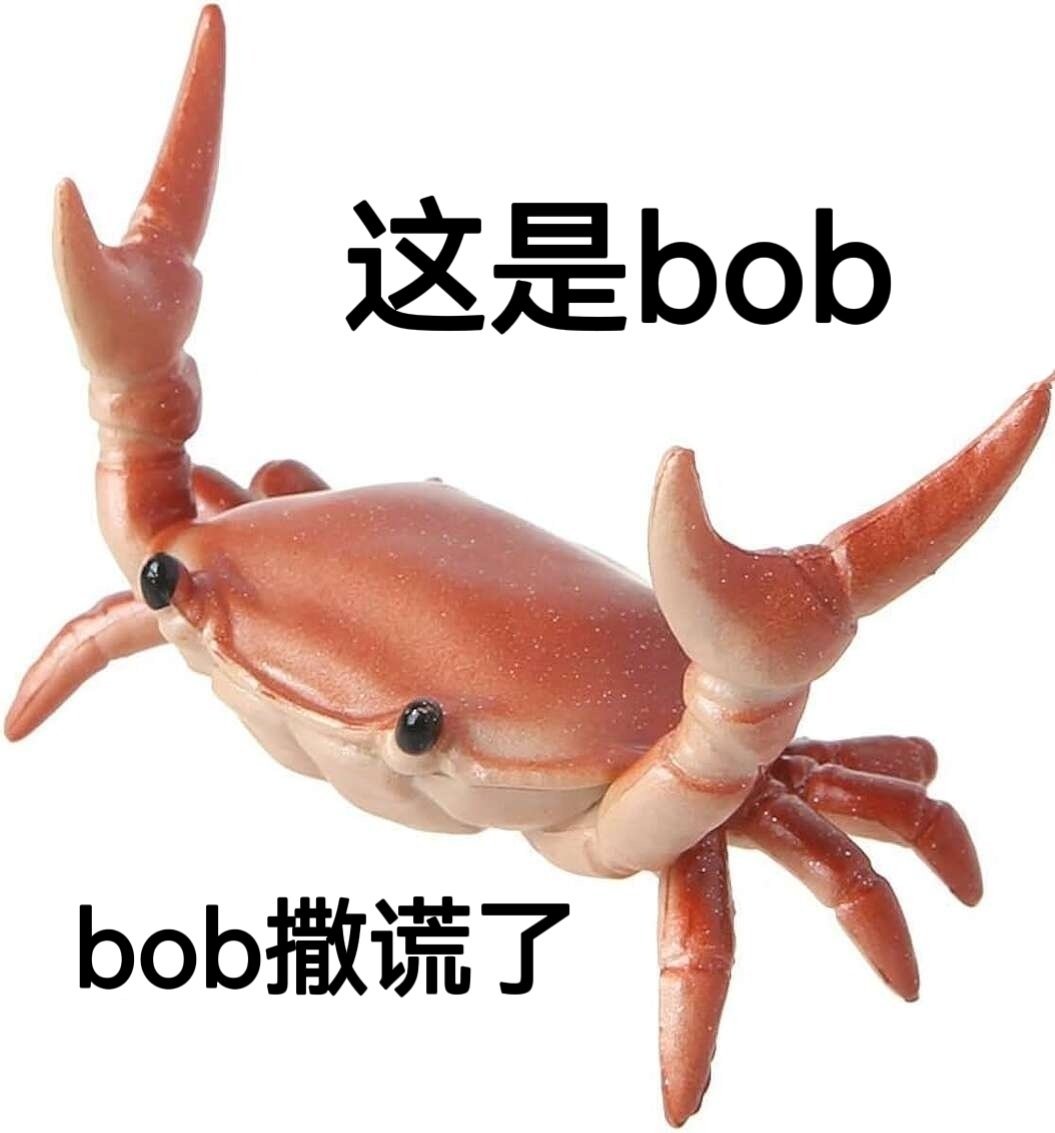 我草你的，bob 