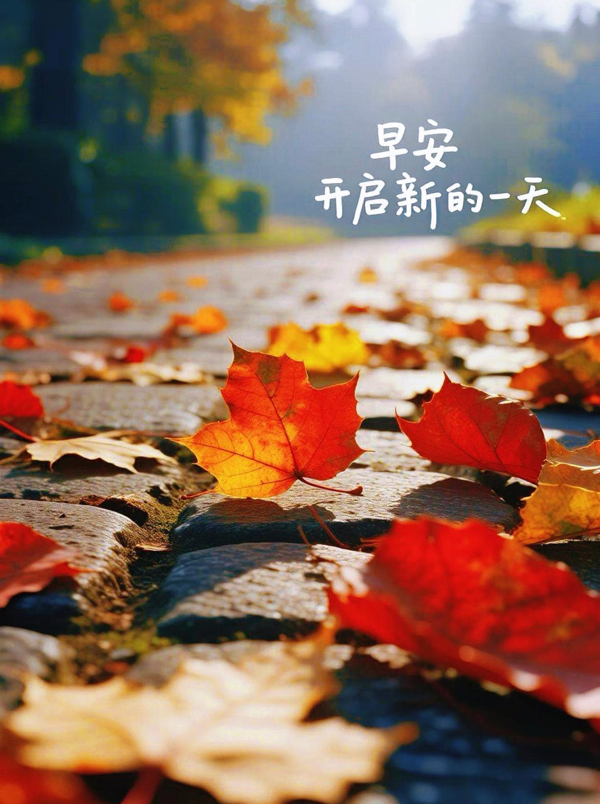 每一个清晨都是新的开始，今天的好运拍了拍你，保持对生活的爱和热忱，开启美好的今天