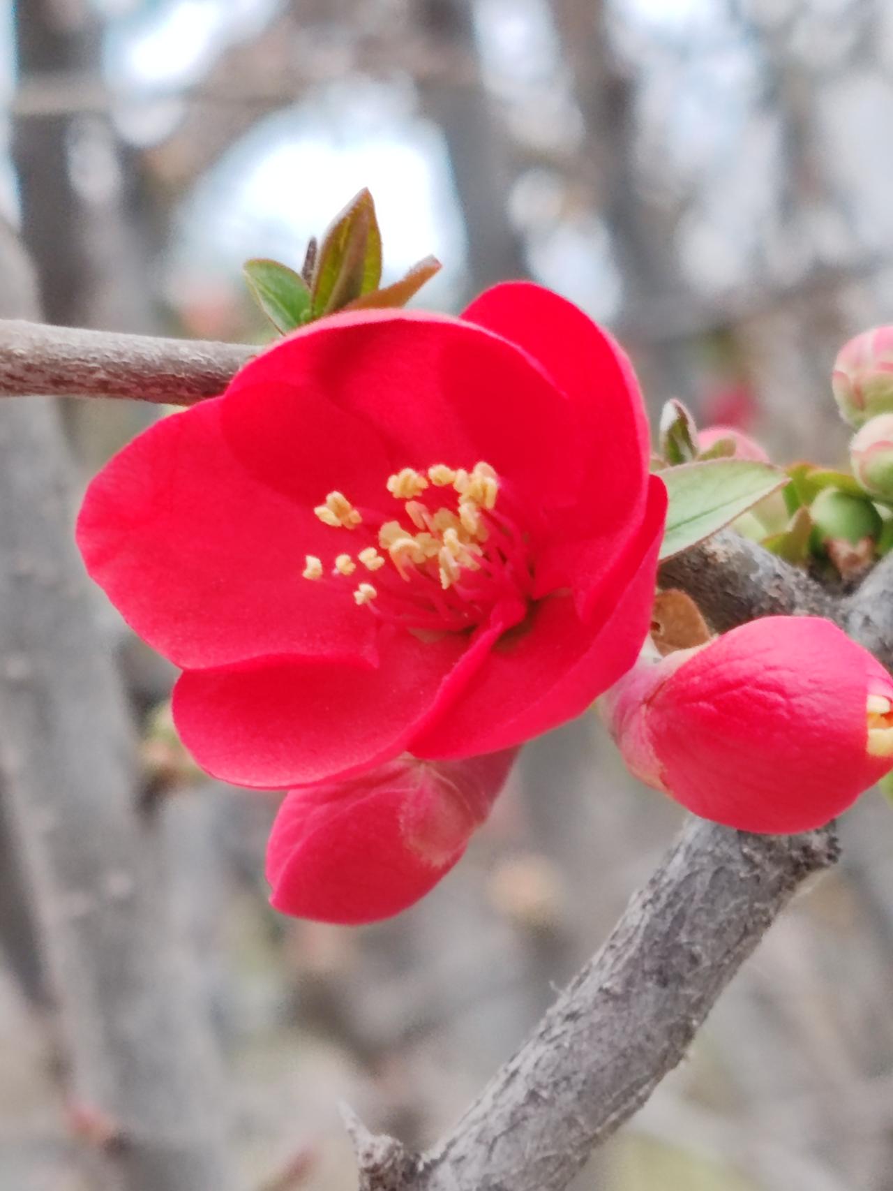 中国绝大多数家庭都很和睦，在处理老人遗产时能够达成一致意见。当然，也有少数家庭会