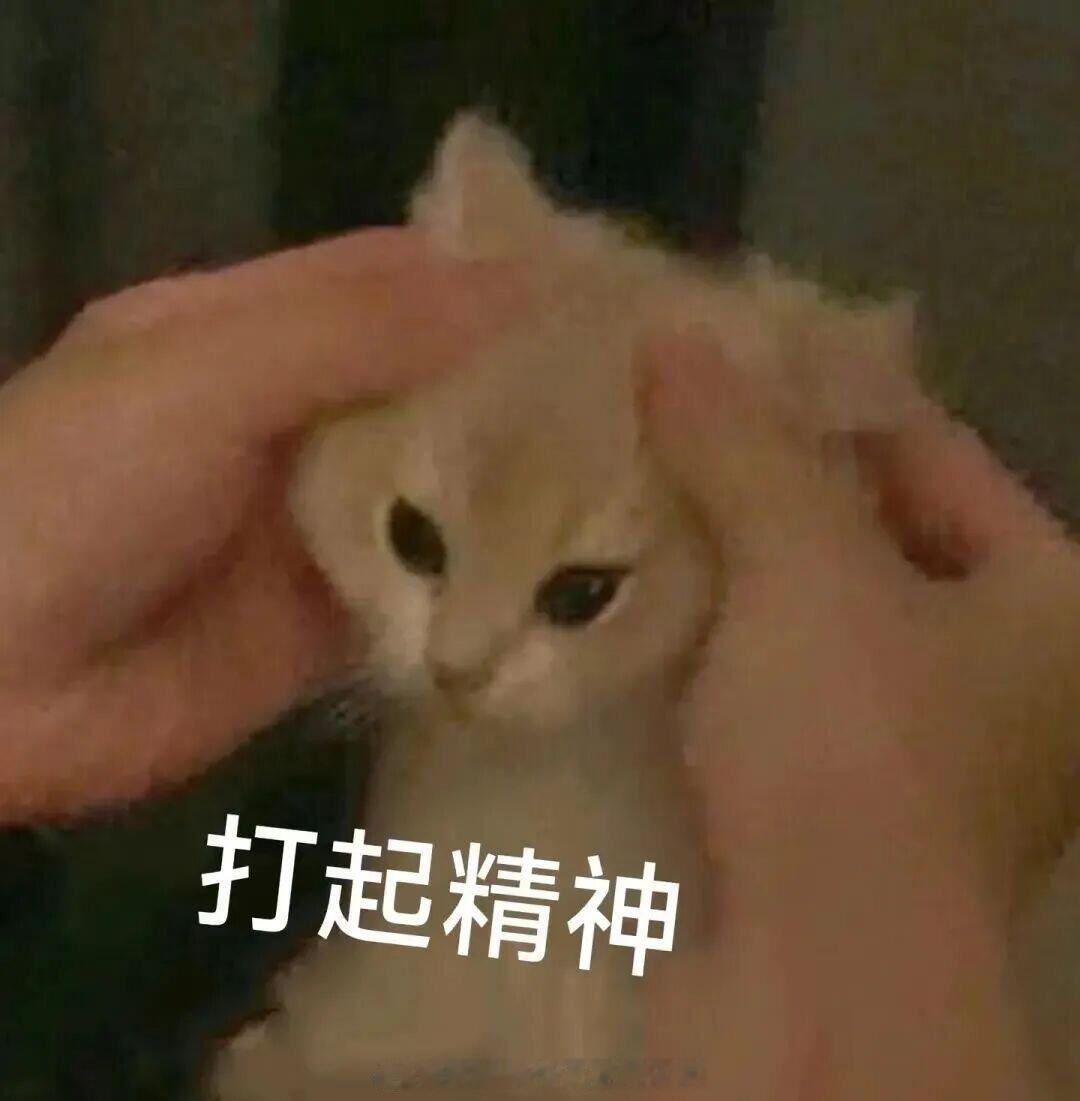 昨天白天走得那叫一个磨叽，本来都做好向下破位的准备了，结果晚上跟随美股向上，来了
